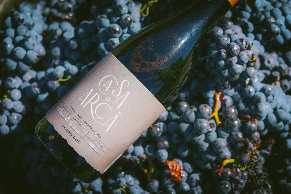 casaarcavindima57
