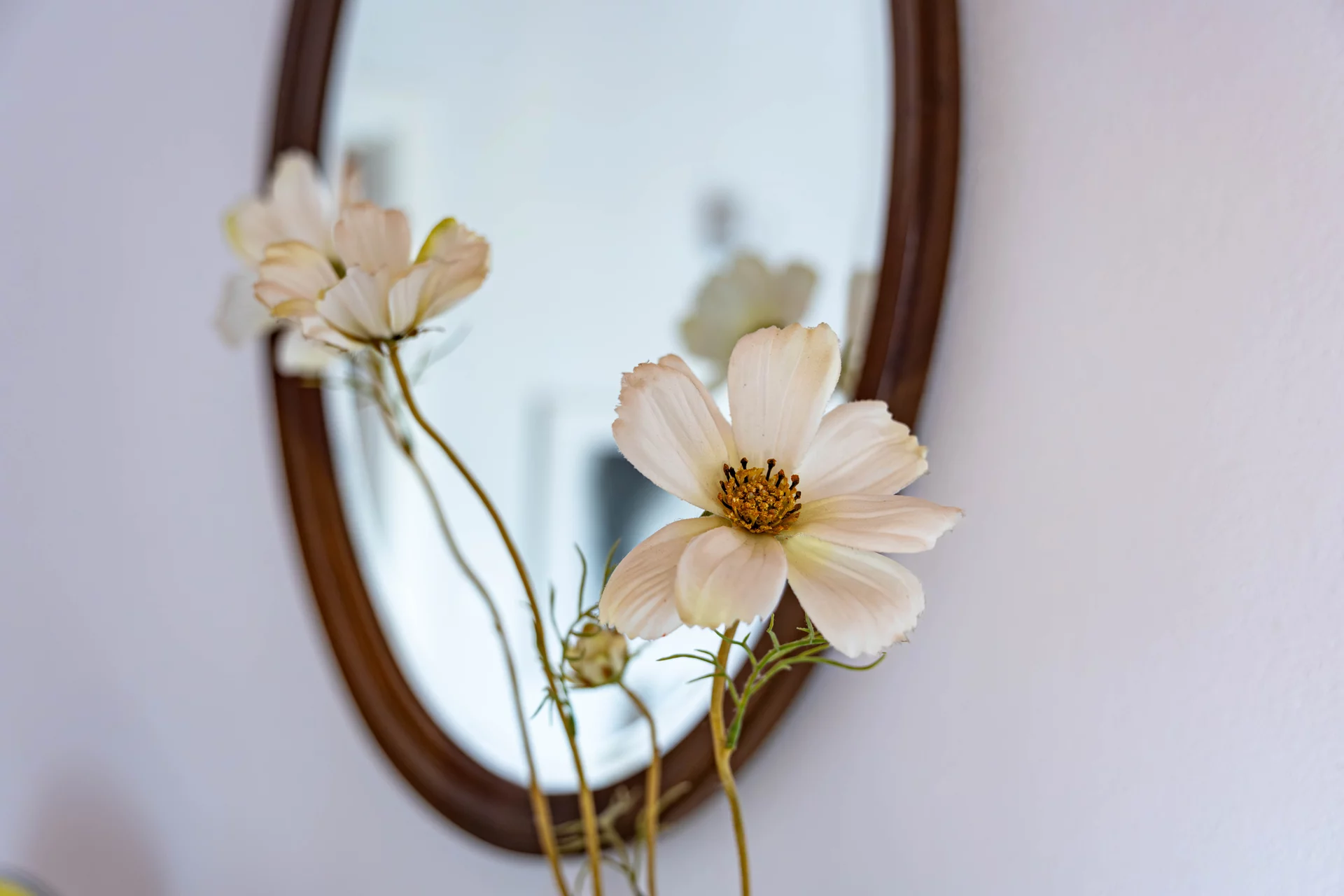 alojamento douro pedra viva viosinho guesthouse flores decoracao